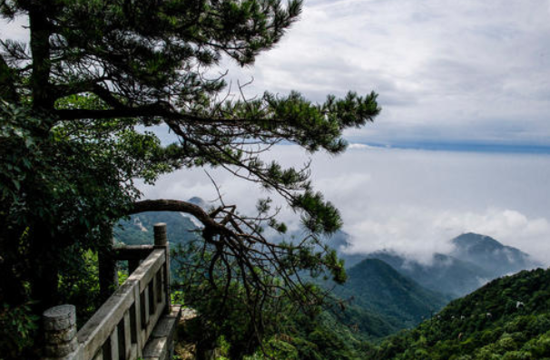 澳納森祝各位元旦節(jié)快樂，以后也要快快樂樂